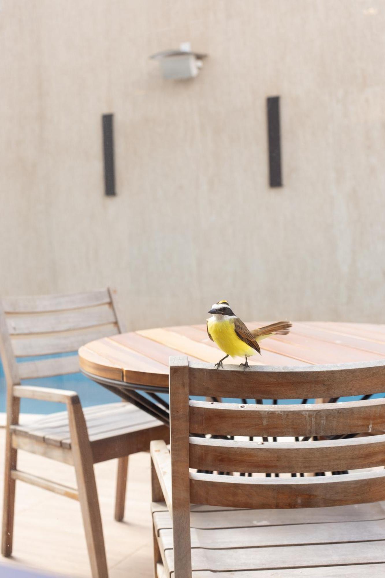 Nobile Hotel Araripina エクステリア 写真